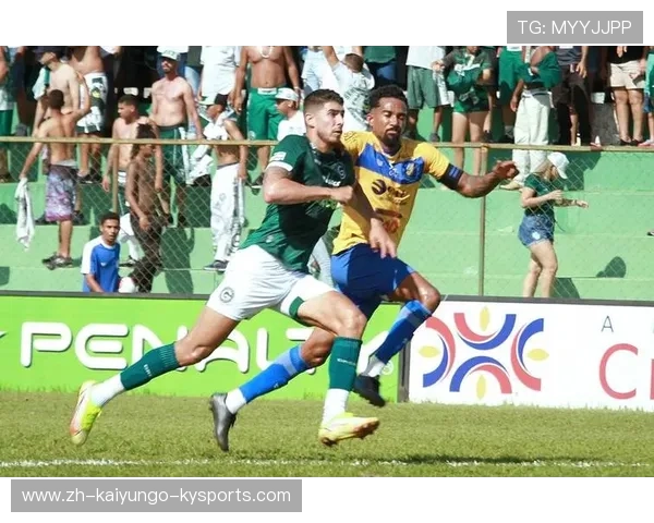 透视巴西甲级联赛分析中的争议与亮点